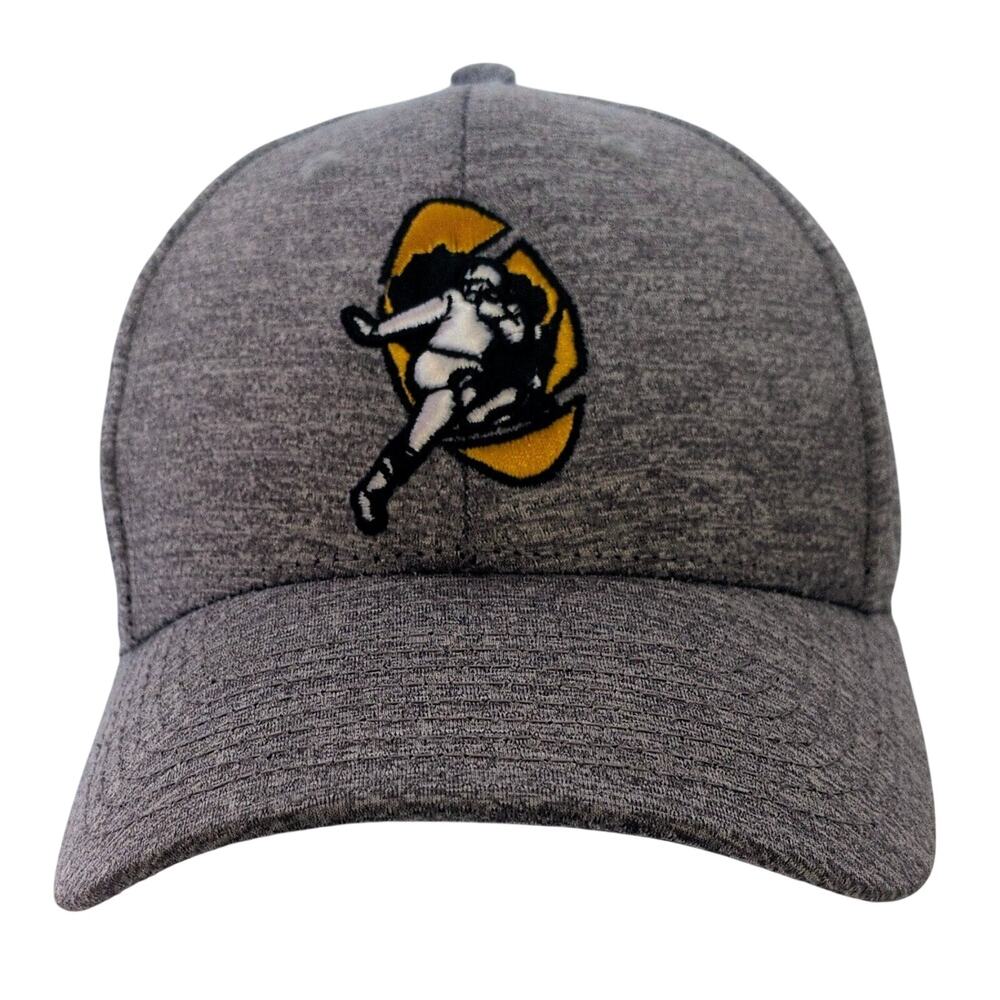 Green Bay Packers NFL Football Player Silhouette Hat Cap Gray Snapback Mens